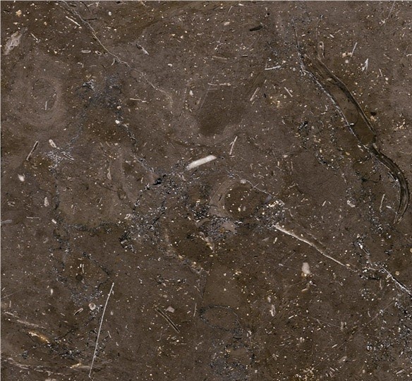 Milly Brown Marble