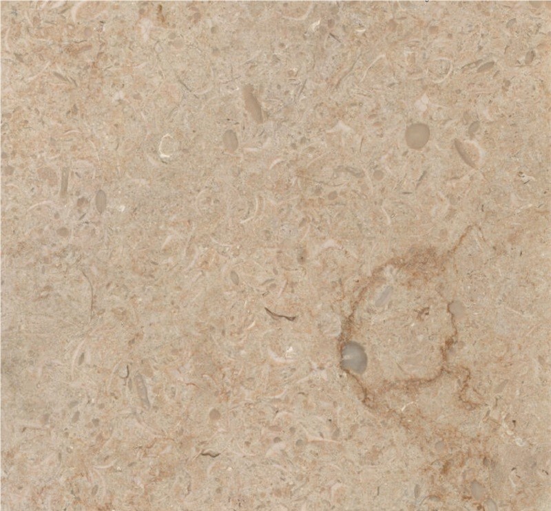 Sunny Menia Marble